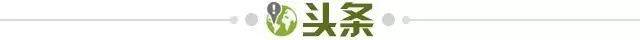 1732032840801027670.jpg 头条.jpg